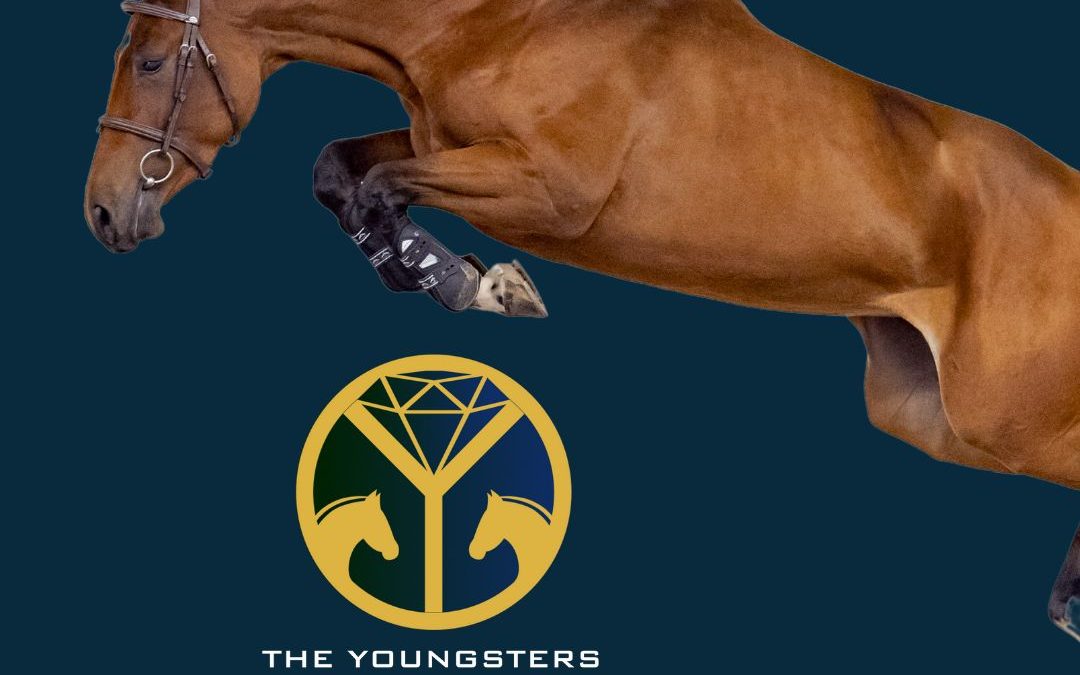 The Youngsters Auction offers future talents including the ¾ sister of WC Lyon winner Chaplin