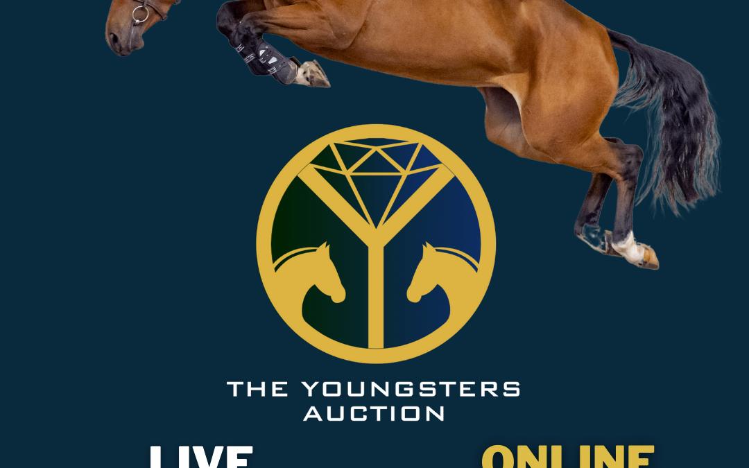 The Youngsters Auction partly online due to new Dutch Covid measures